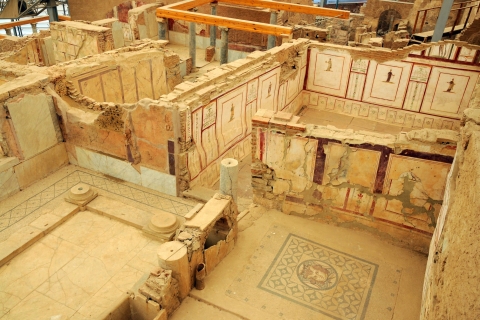 Z Kusadasi: Prywatna wycieczka ekspresowa do Efezu