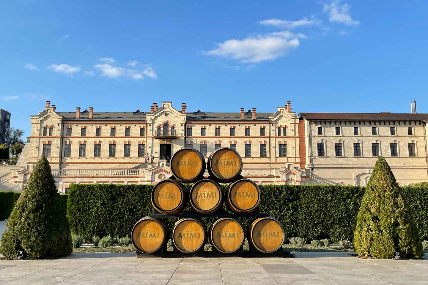 From Iași: Mimi Castle Wine Tasting Day Trip