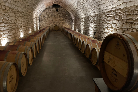 Z Jassów: Wycieczka 1-dniowa do zamku Mimi z degustacją winZ Jassów: Wycieczka 1-dniowa z degustacją win w zamku Mimi