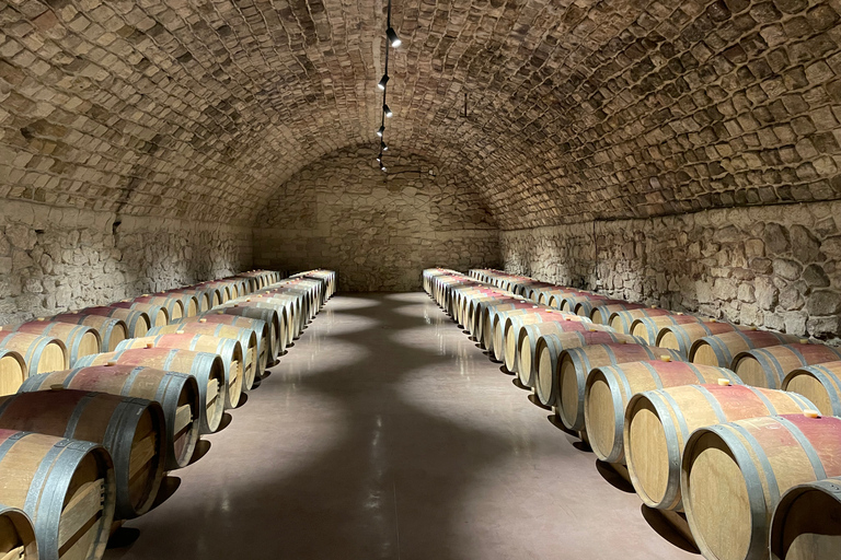 Z Jassów: Wycieczka 1-dniowa do zamku Mimi z degustacją winZ Jassów: Wycieczka 1-dniowa z degustacją win w zamku Mimi