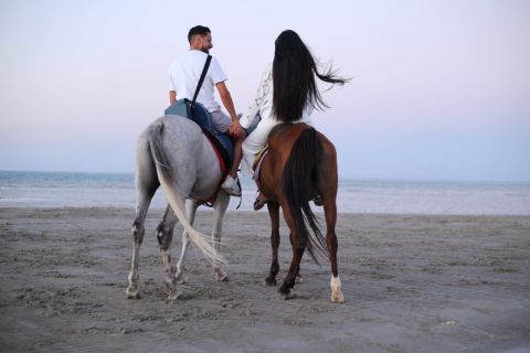 Hurghada: Red Sea Coast Horseback Riding Tour with Meal