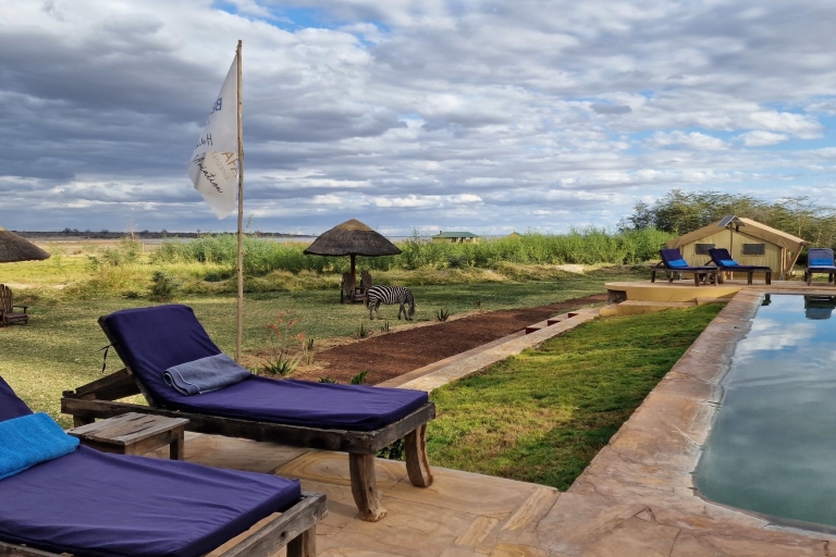 Z Arushy: 4-dniowe safari na północnym torze + wizyta u Masajów