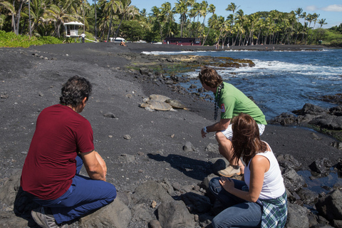 Big Island: tour de un día a volcanes, cascadas y cafetal