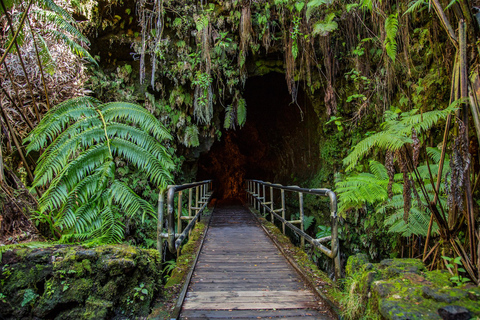 Big Island: tour de un día a volcanes, cascadas y cafetal