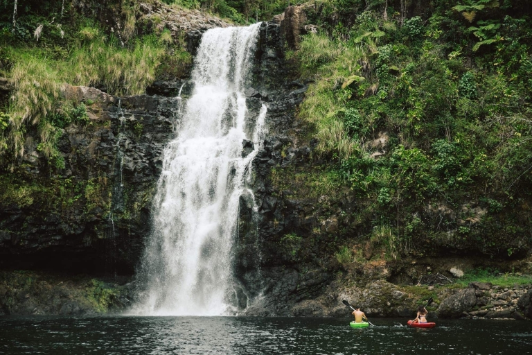 Big Island: visites en petit groupe de la vallée de Waipio et de la cascade