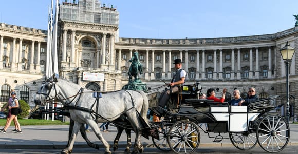Vienna: 30-Minute Fiaker Ride in the Old Town