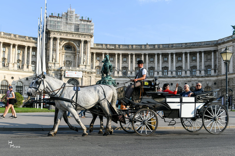 Viena: Passeio de Fiaker de 30 minutos no centro históricoViena: Passeio de Fiaker de 30 minutos à tarde na Cidade Velha