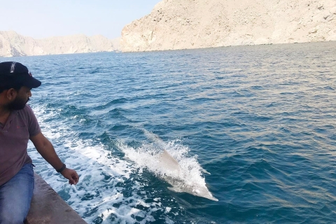 Desde Mascate: tour de avistamiento de delfines