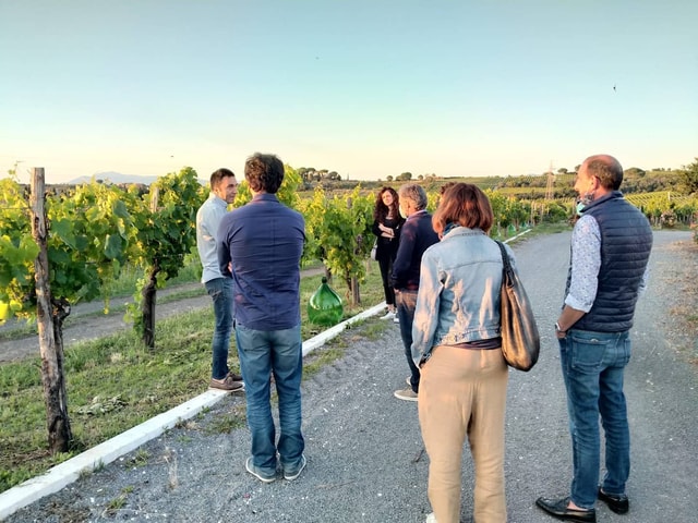 Visit Frascati Vineyard's Guided Tour with Wine Tasting in Roma