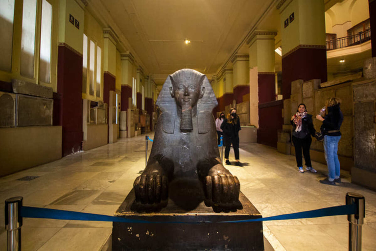 Il Cairo: Museo Egizio Tour privato di mezza giornata guidatoTour privato comprensivo di trasferimenti, guida e ingressi