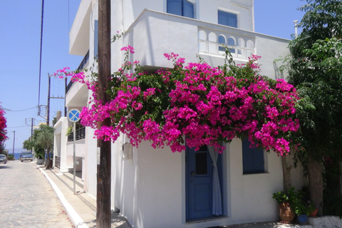 Agios Nikolaos : Circuit en Jeep avec arrêts et repas grec