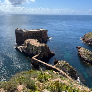 From Lisbon: Berlenga Grande Sightseeing Tour