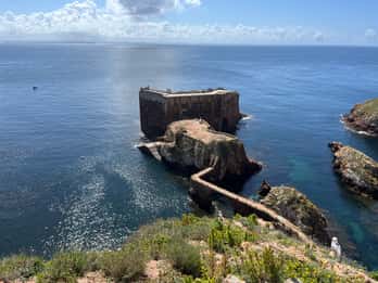 From Lisbon: Berlenga Grande Sightseeing Tour