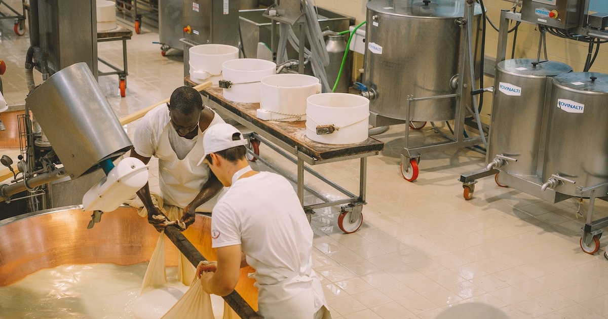 Modena Parmesan, Balsamic Vinegar, Lambrusco Tour + Lunch GetYourGuide