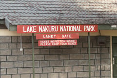 Birdwatching | Nakuru things to do in Nakuru