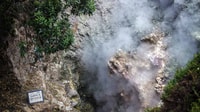 Furnas & Terra Nostra Botânica Tour Guided W/ Hot Springs - Housity
