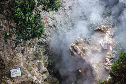 Furnas Botanic Gardens Tour und HotSprings (inkl. Mittagessen)Furnas Volcano & Botanic Gardens Tour w/ HotSprings (Mittagessen!)