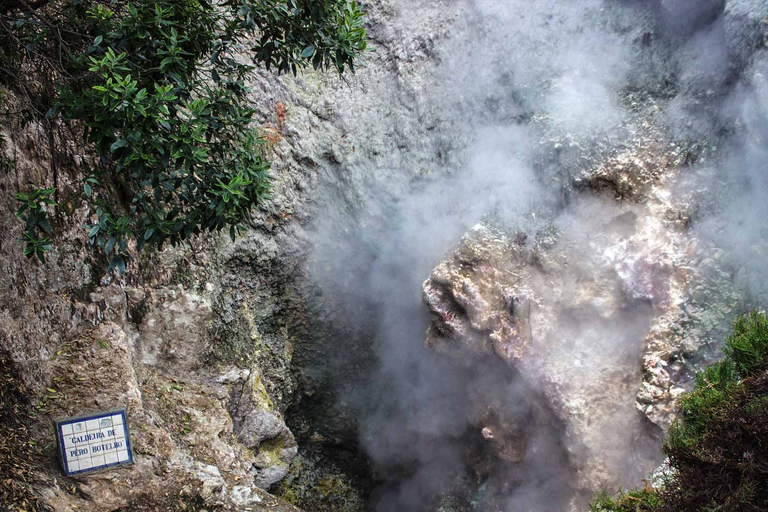 Furnas Botanic Gardens Tour en HotSprings (incl. lunch)Furnas Vulkaan & Botanische Tuinen Tour met HotSprings (lunch!)