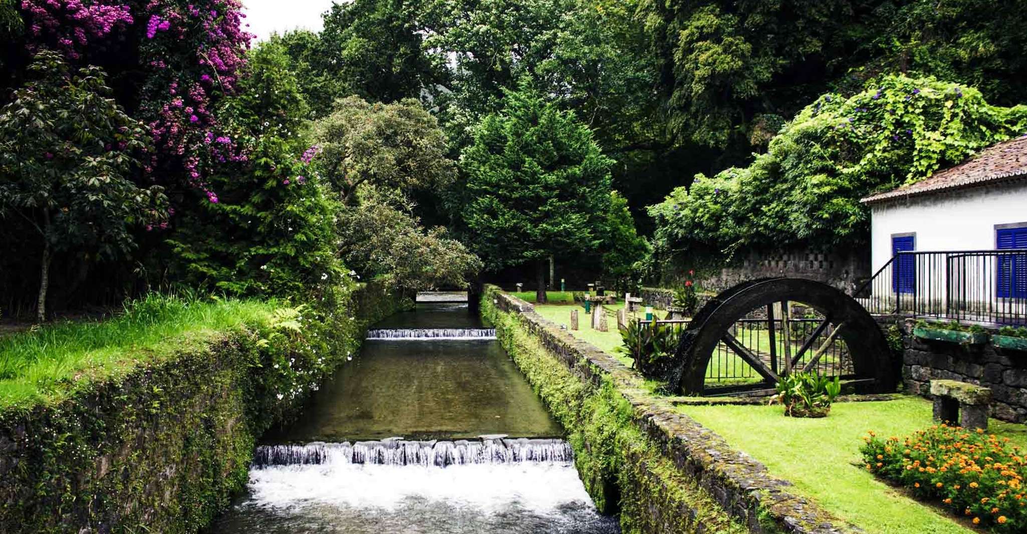 Furnas & Terra Nostra Botanic Park Guided Tour w/ Hotsprings - Housity