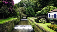 Furnas & Terra Nostra Botânica Tour Guided W/ Hot Springs - Housity