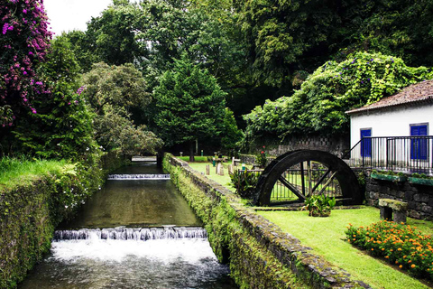 Visita al Jardín Botánico de Furnas y HotSprings (incluye almuerzo)Excursión al Volcán Furnas y al Jardín Botánico con HotSprings (¡comida!)