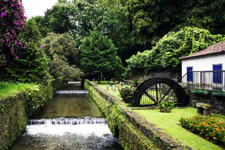 Visita al Jardín Botánico de Furnas y HotSprings (incluye almuerzo)Excursión al Volcán Furnas y al Jardín Botánico con HotSprings (¡comida!)