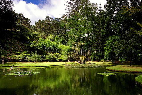 Furnas Botanic Gardens Tour en HotSprings (incl. lunch)Furnas Vulkaan & Botanische Tuinen Tour met HotSprings (lunch!)