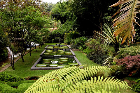 Visita al Jardín Botánico de Furnas y HotSprings (incluye almuerzo)Excursión al Volcán Furnas y al Jardín Botánico con HotSprings (¡comida!)