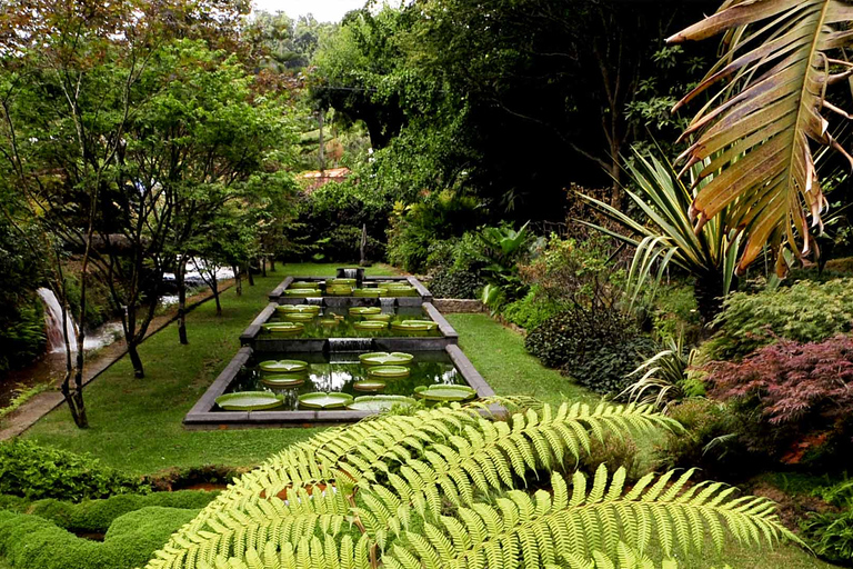 Furnas Botanic Gardens Tour en HotSprings (incl. lunch)Furnas Vulkaan & Botanische Tuinen Tour met HotSprings (lunch!)