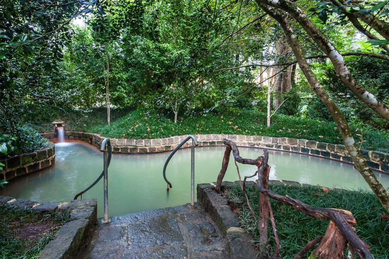 Visita al Jardín Botánico de Furnas y HotSprings (incluye almuerzo)Excursión al Volcán Furnas y al Jardín Botánico con HotSprings (¡comida!)