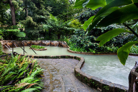 Visita al Jardín Botánico de Furnas y HotSprings (incluye almuerzo)Excursión al Volcán Furnas y al Jardín Botánico con HotSprings (¡comida!)