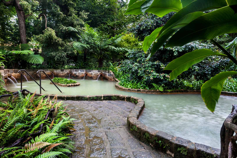 Visita al Jardín Botánico de Furnas y HotSprings (incluye almuerzo)Excursión al Volcán Furnas y al Jardín Botánico con HotSprings (¡comida!)