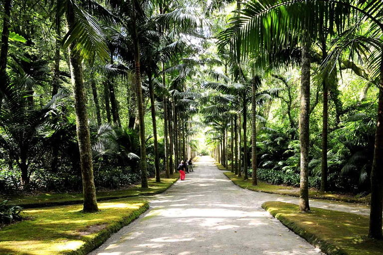 Visita al Jardín Botánico de Furnas y HotSprings (incluye almuerzo)Excursión al Volcán Furnas y al Jardín Botánico con HotSprings (¡comida!)