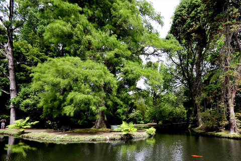 Furnas Botanic Gardens Tour und HotSprings (inkl. Mittagessen)Furnas Volcano & Botanic Gardens Tour w/ HotSprings (Mittagessen!)