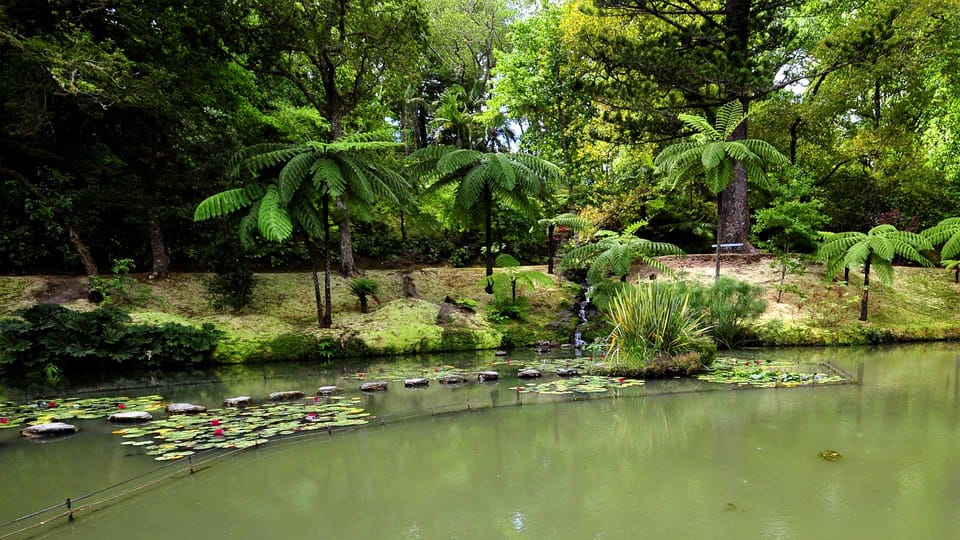 Visita guiada al Parque Botánico de Furnas y Terra Nostra con fuentes ...