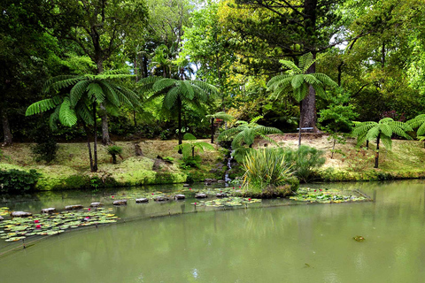 Furnas Botanic Gardens Tour en HotSprings (incl. lunch)Furnas Vulkaan & Botanische Tuinen Tour met HotSprings (lunch!)