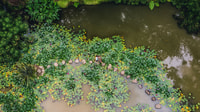 Furnas & Terra Nostra Botanical Park Guided Tour mit heißen Quellen - Housity
