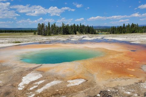 From Cody: Full-Day Yellowstone Private Tour