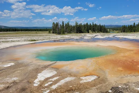 Yellowstone National Park Private Day Tour