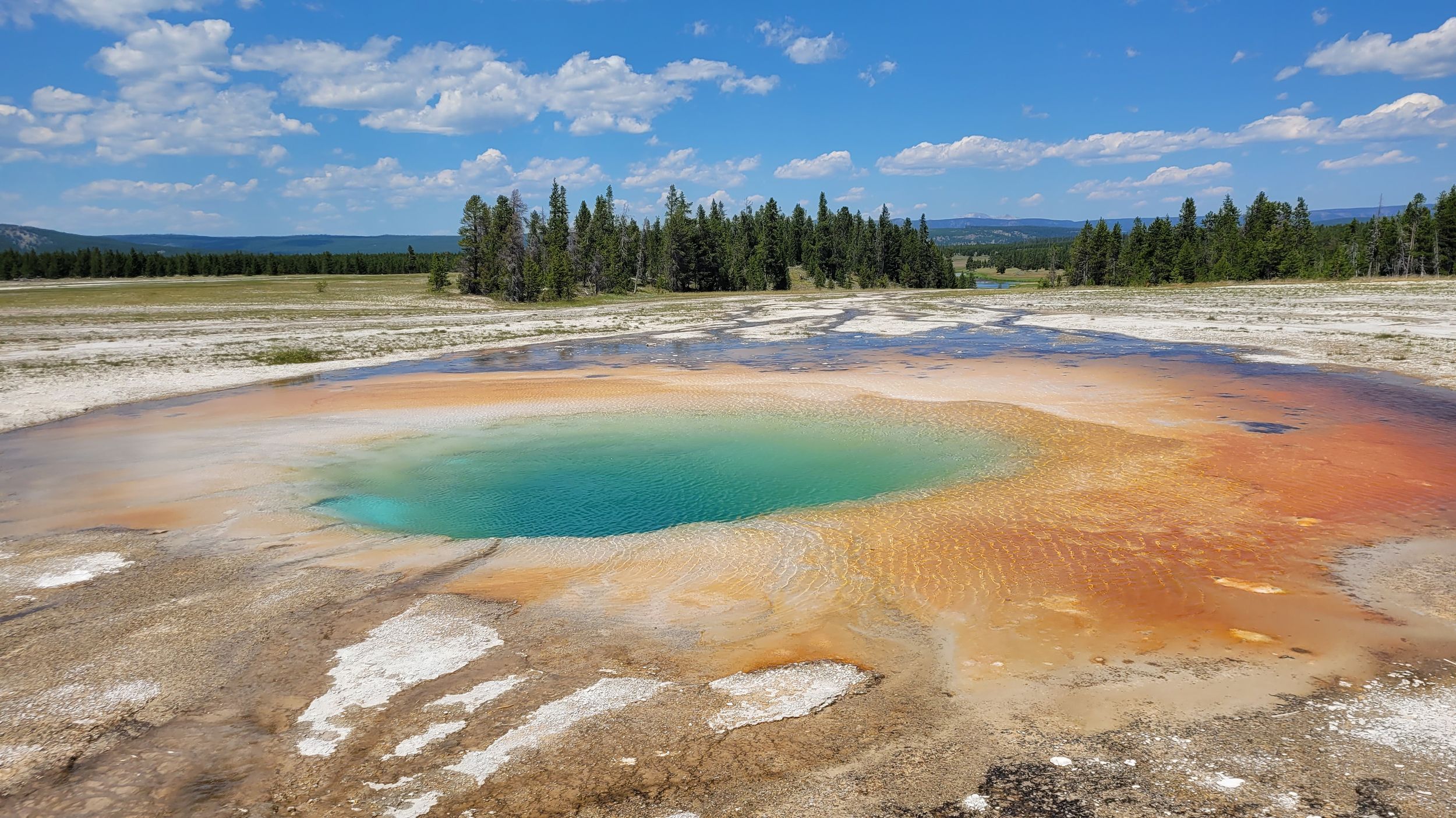 Yellowstone National Park Private Tagestour