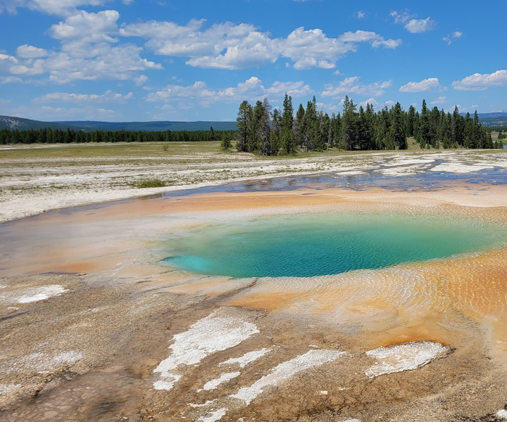From Cody: Yellowstone National Park Private Day Tour