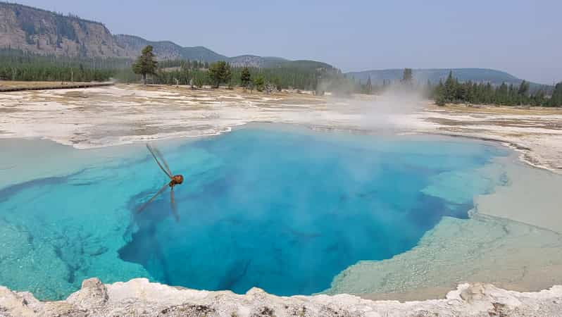 From Cody: Full-Day Yellowstone National Park Tour | GetYourGuide