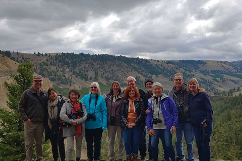 Yellowstone &amp; Grand Tetons: Vildmarksresa i 4 dagar/3 nätter