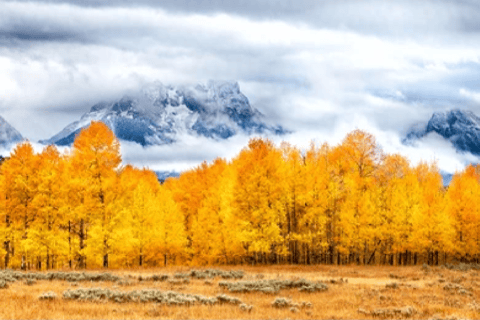 Grand Teton & Yellowstone: 4-daagse natuurtour met accommodatieAnnulering van 45 dagen: 4-daagse tour Grand Teton en Yellowstone