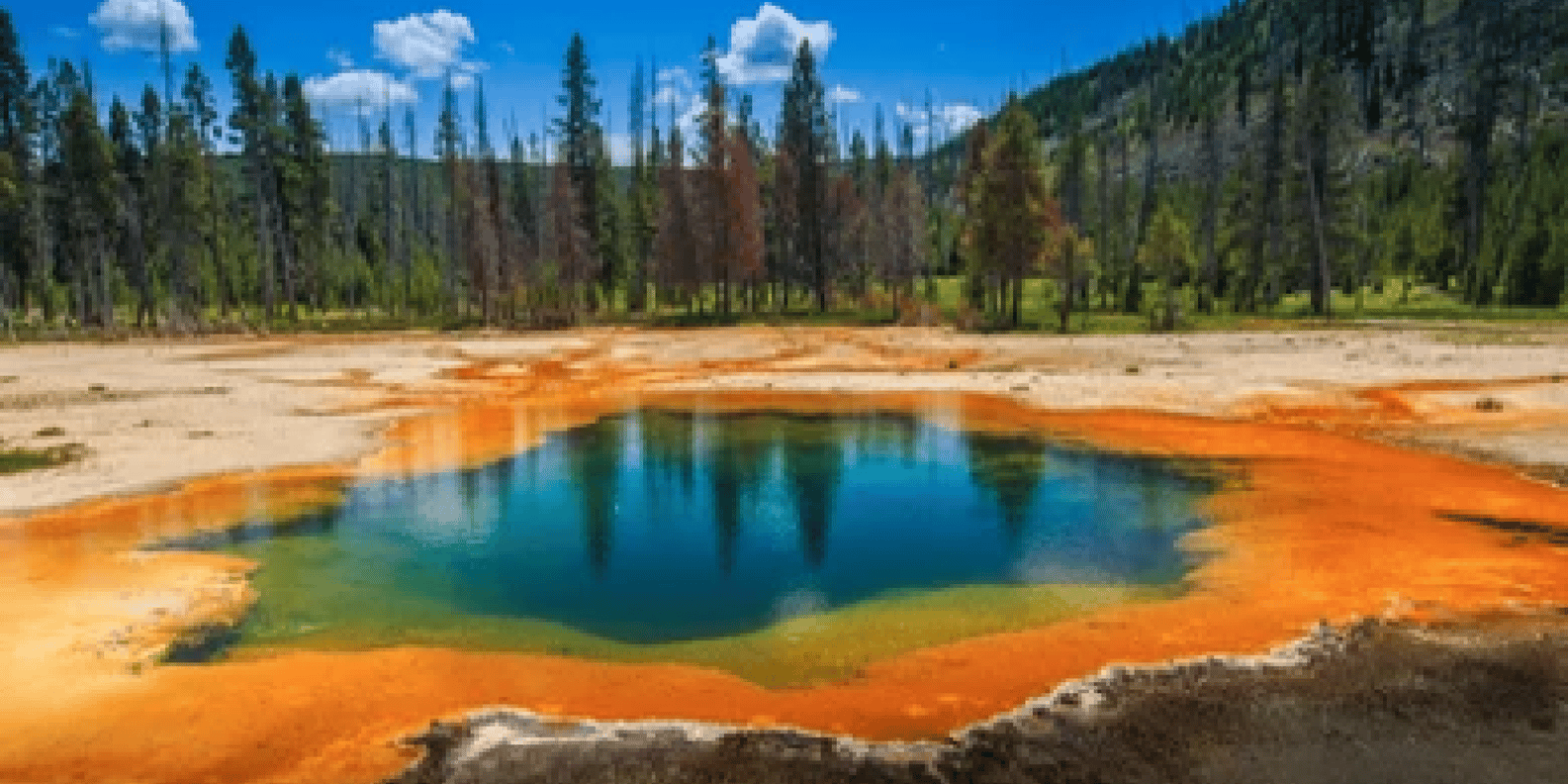 黄石公园和大提顿国家公园：4 天/3 夜野生动物探险| GetYourGuide