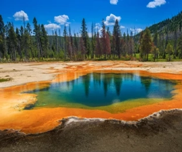 Yellowstone & Grand Tetons: 4-Day/3-Night Wildlife Adventure