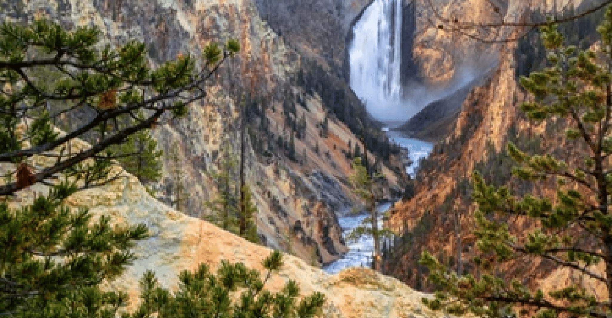 Yellowstone & Grand Tetons, Avventura per la fauna selvatica di 4 giorni/3 notti - Housity