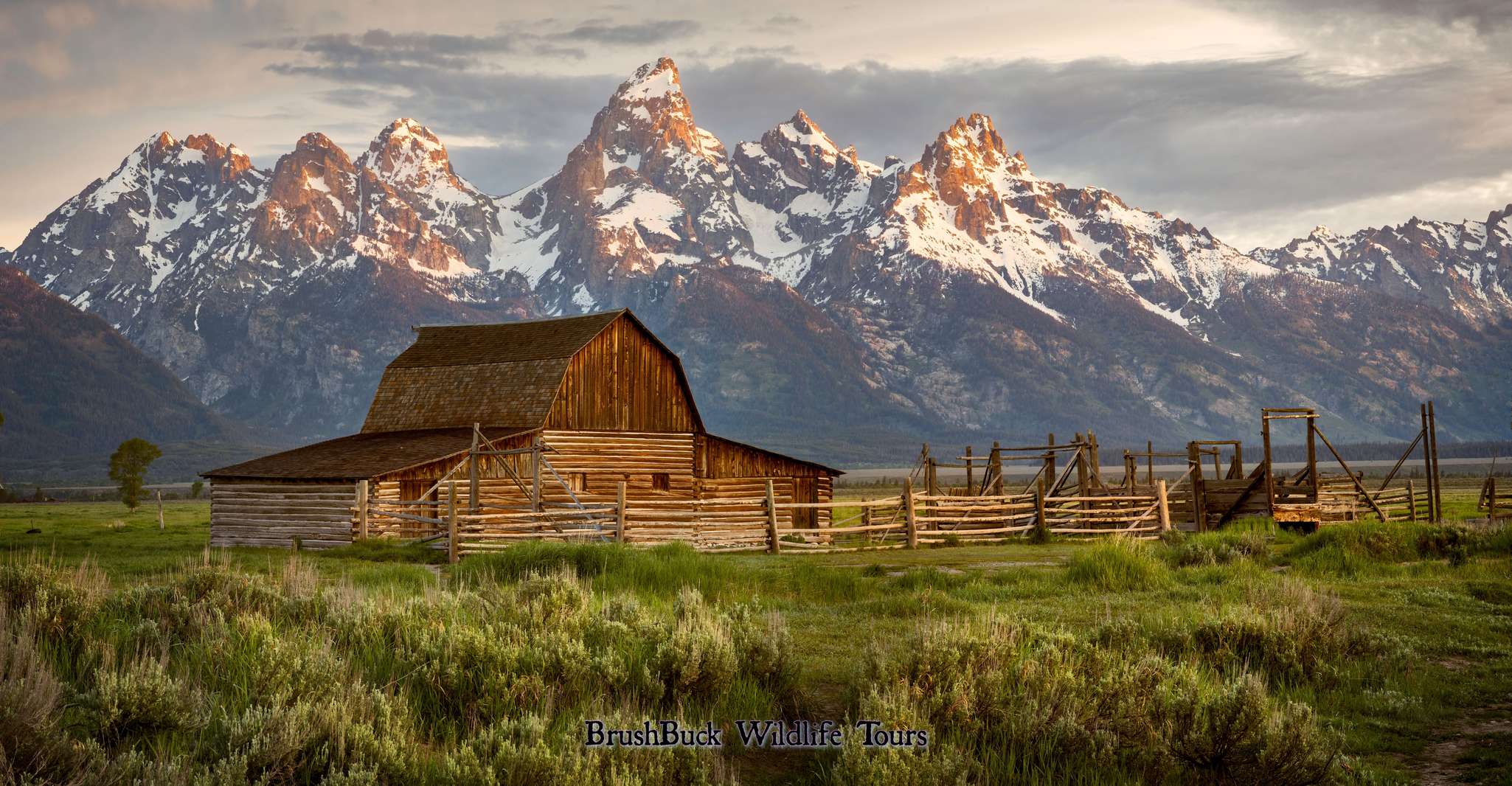 Yellowstone & Grand Tetons, Avventura per la fauna selvatica di 4 giorni/3 notti - Housity