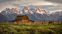 Yellowstone & Grand Tetons, aventure faunique de 4 jours / 3 nuits - Housity