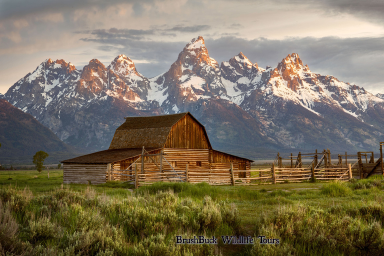 Grand Teton und Yellowstone: 4-Tages-Tour mit UnterkunftBis 45 Tage stornierbar: Grand Teton & Yellowstone: 4-Tage